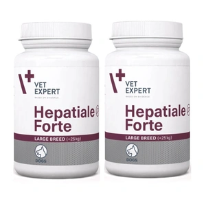 VETEXPERT Hepatiale Forte Große Rassen 2x40 Tab.