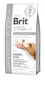 Brit gf veterinärmedizinische Diäten Hund Mobilität 2kg