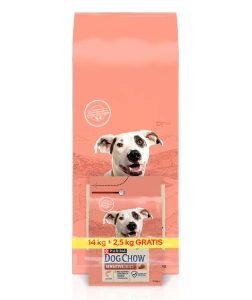 PURINA Dog Chow Adult Sensitive Salmon 16,5kg  (14kg+2,5kg GRATIS!!)