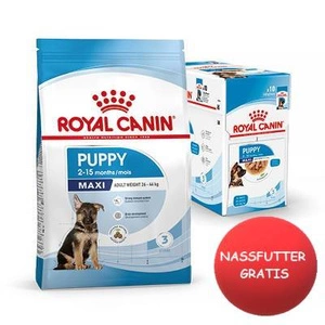 ROYAL CANIN Maxi Puppy 15kg +Nassfutter GRATIS!