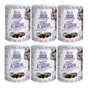 BRIT CARE Cat Snack Superfruits Kitten 6x100g