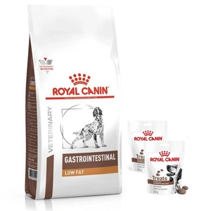 ROYAL CANIN Gastro Intestinal Low Fat LF22 6kg + Royal Canin Dog Gastrointestinal Treats  Hundeleckerli 2x230g