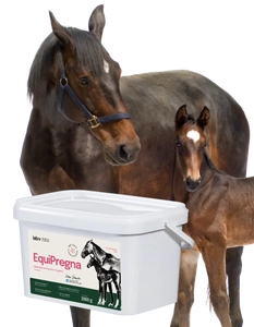 Lab-v EquiPregna Ergänzungsfuttermittel für trächtige und laktierende Stuten zur Unterstützung der Trächtigkeit, der fötalen Entwicklung und der Milchproduktion 2000g
