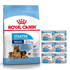 ROYAL CANIN Maxi Starter Mother&Babydog 15kg + ROYAL CANIN Starter Mousse Mother & Babydog 6x195g