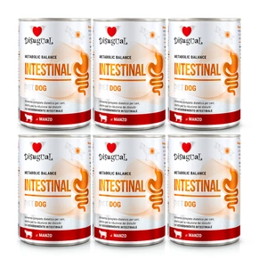 Disugual Veterinary Nassfutter für Hunde INTESTINAL Rind (Erwachsene) 6x400g