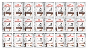 ROYAL CANIN Gastro Intestinal GI25 24x400g