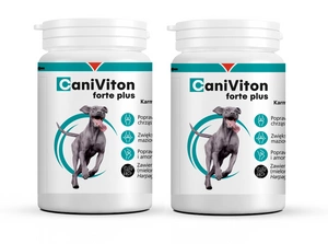 VETOQUINOL Caniviton forte plus - 2x90 tab.