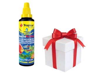 TROPICAL Bacto-Active 100ml + Probe von Tropical Fischfutter