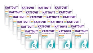 Kattovit Gastro Truthahn 24x85g-Beutel