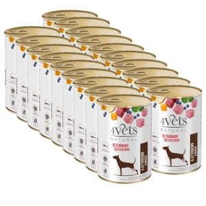 4 Vets Dog Joint Mobility 18x400g