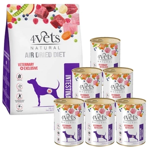 4Vets Natural Gastro Intestinal Set; Trockenfutter 1kg + Nassfutter 6x400 g