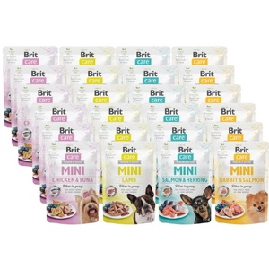 Brit Care Mini MIX in Soße 24x85g