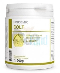 DOLFOS Horsemix Colt 500g