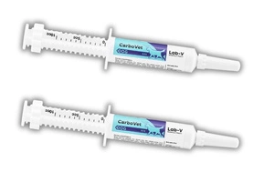 Lab-v CarboVet Dog – Ergänzungsfuttermittel zur Unterstützung des Verdauungssystems und der Toxinausscheidung für Hunde, 2x10 ml