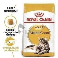 ROYAL CANIN Maine Coon Adult 10kg + Überraschung für die Katze