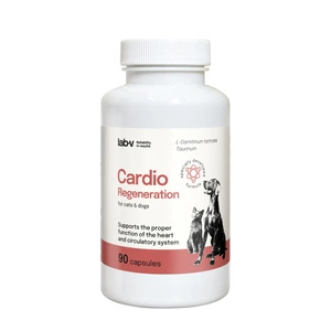 Cardio Regeneration – Unterstützung der normalen Herzfunktion und des Kreislaufsystems, 90 Kapseln