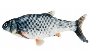 Katzenspielzeug Plüschfisch mit Katzenminze 21cm
