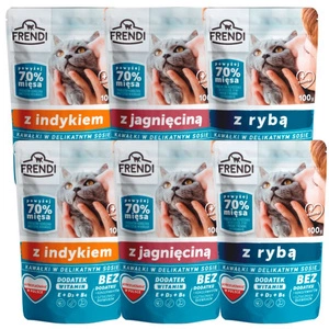 Frendi-Stücke in delikater Sauce MIX 6x100g