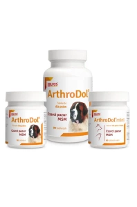 DOLFOS ArthroDol 90 Tabletten