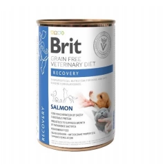 BRIT GF Veterinary Diets Recovery Salmon 400g - Nassfutter für Hunde und Katzen