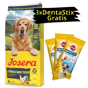 JOSERA Medi/Maxi Huhn & Süßkartoffel 12,5kg + 3x PEDIGREE DentaStix GRATIS!