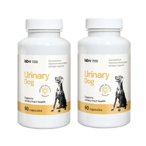 Urinary Dog – Unterstützung bei Harnwegsbeschwerden bei Hunden, 2x90 Kapseln