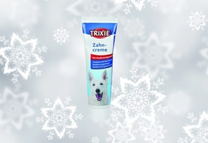Trixie Zahnpflege Zahncreme mit Fleischgeschmack für Hunde 100g