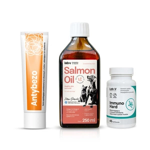 Lab-v Geschenkset für Katzen – Gesundheit, Immunität und schönes Fell