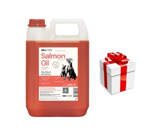 Lab-v Lachsöl – 100 % Lachsöl für Hunde und Katzen 5000 ml + Überraschung für die Katze