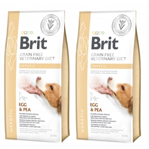 Brit gf Veterinärdiät für Hunde Hepatisch 2x12kg