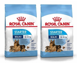 ROYAL CANIN Maxi Starter Mother&Babydog 2x15kg