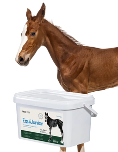 Lab-v EquiJunior Ergänzungsfuttermittel für Fohlen zur Unterstützung des Wachstums, der Entwicklung und der richtigen Ernährung von jungen Pferden und Ponys 2000g