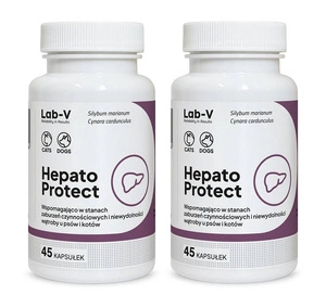 Lab-v Hepato Protect – Unterstützung der Leberfunktion für Hunde und Katzen, 2x45 Kapseln