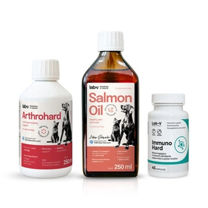 LAB-V Geschenkset für Hunde – Gesunde Gelenke, Immunsystem und glänzendes Fell