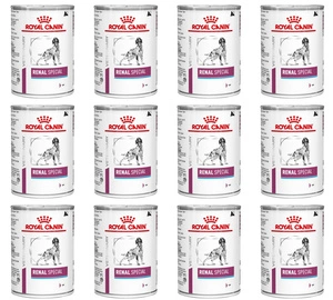 ROYAL CANIN Renal Special 24x410g