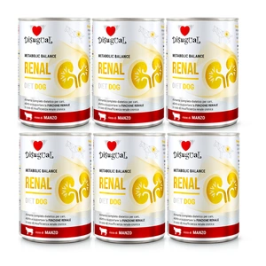 Disugual Veterinary Nassfutter für Hunde RENAL Rind (Erwachsene) 6x400g