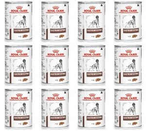 ROYAL CANIN Gastro Intestinal GI25 48x400g