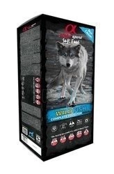 Alpha Spirit Komplettes weiches Trockenfutter WILD FISH (45x200g) 9kg