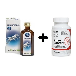 Hyalutidin für Gelenke 125ml + LAB-V Arthro Comfort 45 Kapseln