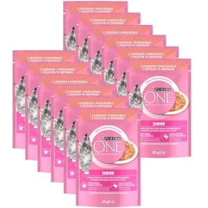 Purina One Junior mit Lachs und Karotten 12x85g
