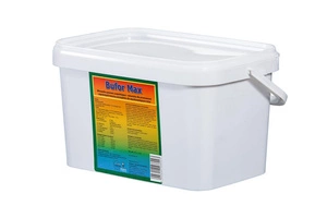 LAB-V Buffer Max - Diät-Ergänzungsfuttermittel für säuregefährdete Wiederkäuer 2x1,2kg