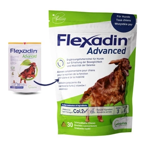 VETOQUINOL Flexadin Advanced Nahrungsergänzungsmittel für Hunde 90g (30 Bissen)