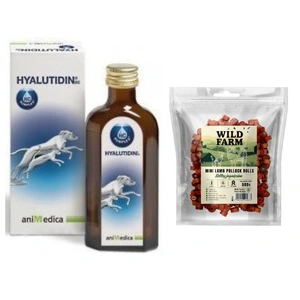 Hyalutidin Gelenkflüssigkeit 125ml + WILD FARM Lammrollen 500g Hundeleckerli