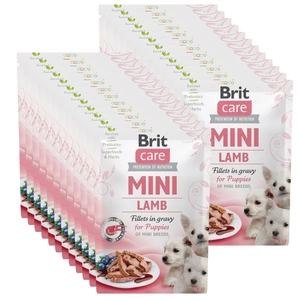 BRIT CARE Mini-Lammfilets in Bratensoße für Welpen 24x85g