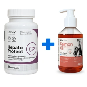 Lab-v Hepato Protect – Unterstützung der Leberfunktion für Hunde und Katzen, 45 Kapseln + Lab-v Lachsöl 250ml